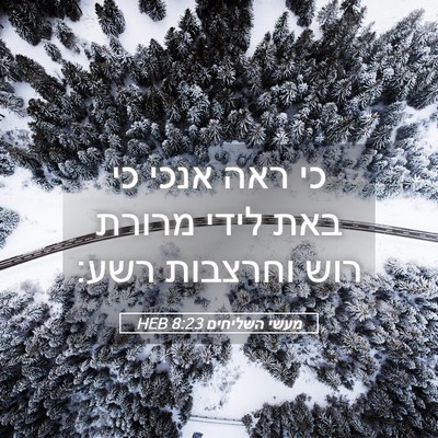 Picture 05 - מעשי השליחים 8:23 HEB - כי ראה אנכי כי באת לידי - Bible Verse Picture
