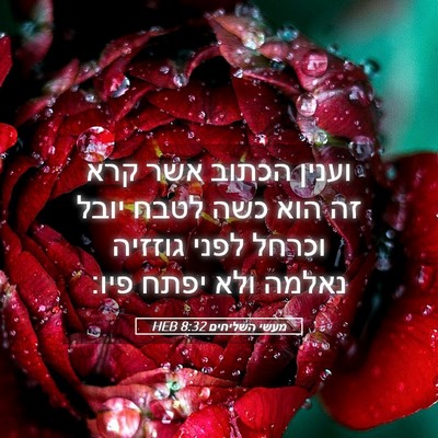 Picture 05 - מעשי השליחים 8:32 HEB - וענין הכתוב אשר קרא זה הוא - Bible Verse Picture