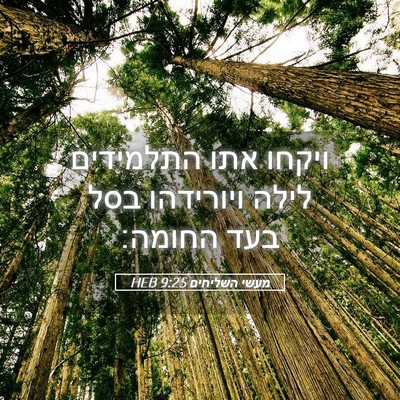 Picture 05 - מעשי השליחים 9:25 HEB - ויקחו אתו התלמידים לילה - Bible Verse Picture
