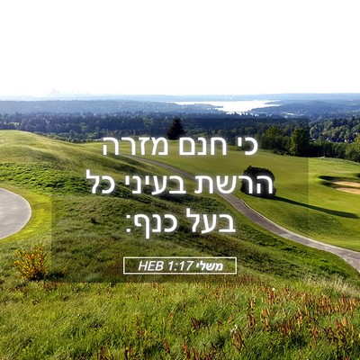 Picture 05 - משלי 1:17 HEB - כי חנם מזרה הרשת בעיני כל - Bible Verse Picture