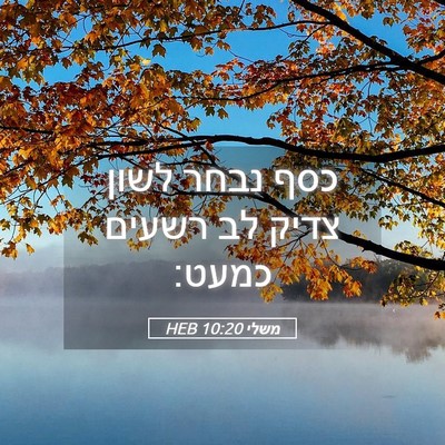 Picture 05 - משלי 10:20 HEB - כסף נבחר לשון צדיק לב רשעים - Bible Verse Picture