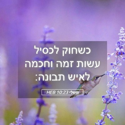 Picture 05 - משלי 10:23 HEB - כשחוק לכסיל עשות זמה וחכמה - Bible Verse Picture