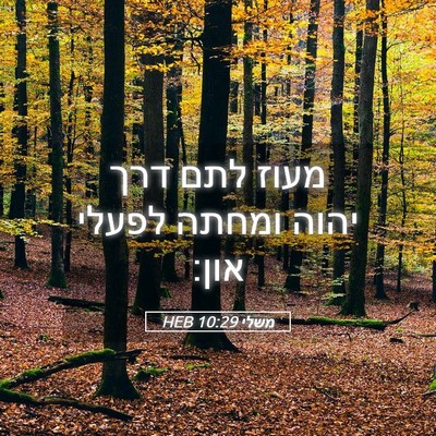 Picture 05 - משלי 10:29 HEB - מעוז לתם דרך יהוה ומחתה - Bible Verse Picture