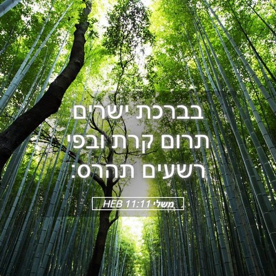 Picture 05 - משלי 11:11 HEB - בברכת ישרים תרום קרת ובפי - Bible Verse Picture