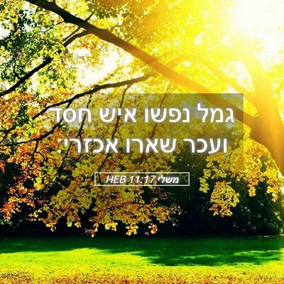 Picture 05 - משלי 11:17 HEB - גמל נפשו איש חסד ועכר שארו - Bible Verse Picture