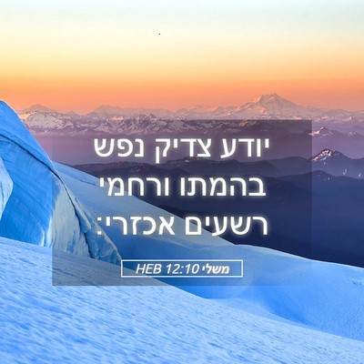 Picture 05 - משלי 12:10 HEB - יודע צדיק נפש בהמתו ורחמי - Bible Verse Picture