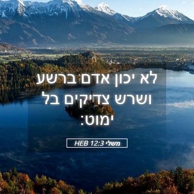 Picture 05 - משלי 12:3 HEB - לא יכון אדם ברשע ושרש - Bible Verse Picture
