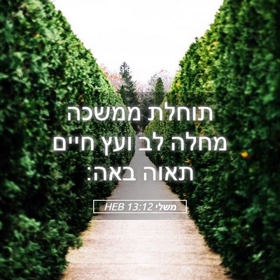 Picture 05 - משלי 13:12 HEB - תוחלת ממשכה מחלה לב ועץ - Bible Verse Picture