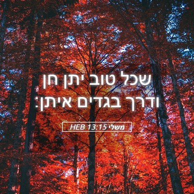 Picture 05 - משלי 13:15 HEB - שכל טוב יתן חן ודרך בגדים - Bible Verse Picture