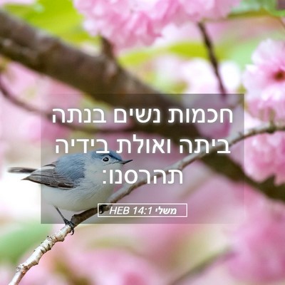 Picture 05 - משלי 14:1 HEB - חכמות נשים בנתה ביתה ואולת - Bible Verse Picture