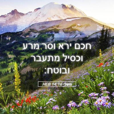 Picture 05 - משלי 14:16 HEB - חכם ירא וסר מרע וכסיל מתעבר - Bible Verse Picture