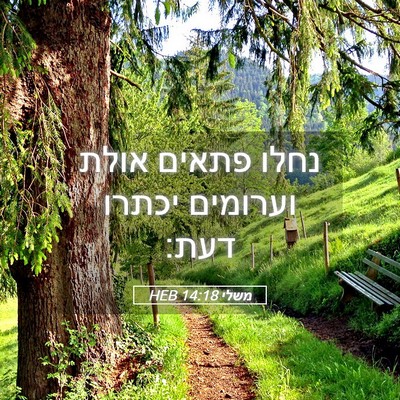 Picture 05 - משלי 14:18 HEB - נחלו פתאים אולת וערומים - Bible Verse Picture
