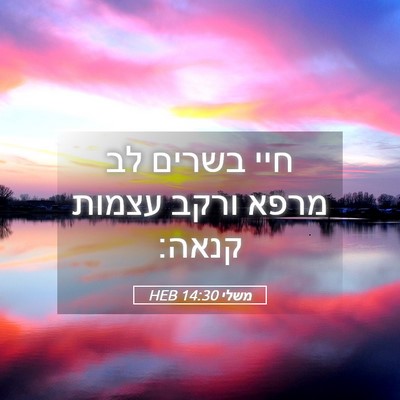 Picture 05 - משלי 14:30 HEB - חיי בשרים לב מרפא ורקב - Bible Verse Picture