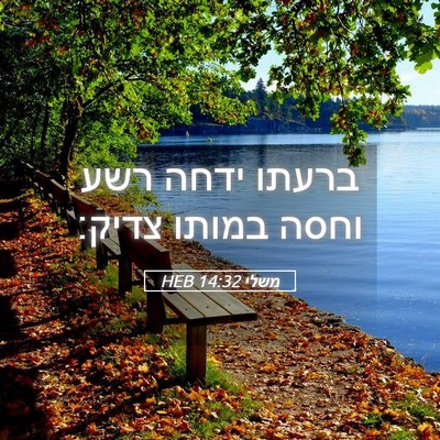 Picture 05 - משלי 14:32 HEB - ברעתו ידחה רשע וחסה במותו - Bible Verse Picture