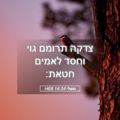 Picture 05 - משלי 14:34 HEB - צדקה תרומם גוי וחסד לאמים - Bible Verse Picture