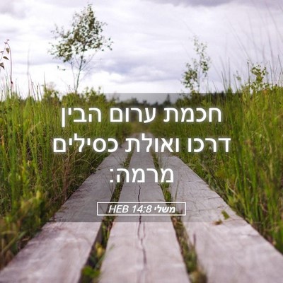 Picture 05 - משלי 14:8 HEB - חכמת ערום הבין דרכו ואולת - Bible Verse Picture