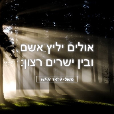 Picture 05 - משלי 14:9 HEB - אולים יליץ אשם ובין ישרים - Bible Verse Picture