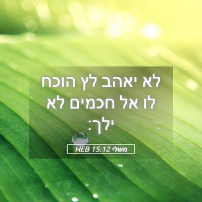 Picture 05 - משלי 15:12 HEB - לא יאהב לץ הוכח לו אל חכמים - Bible Verse Picture