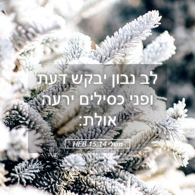 Picture 05 - משלי 15:14 HEB - לב נבון יבקש דעת ופני - Bible Verse Picture