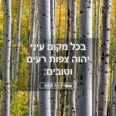 Picture 05 - משלי 15:3 HEB - בכל מקום עיני יהוה צפות - Bible Verse Picture
