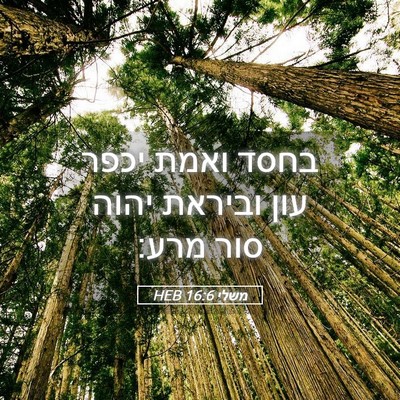 Picture 05 - משלי 16:6 HEB - בחסד ואמת יכפר עון וביראת - Bible Verse Picture