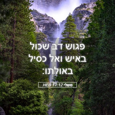 Picture 05 - משלי 17:12 HEB - פגוש דב שכול באיש ואל כסיל - Bible Verse Picture