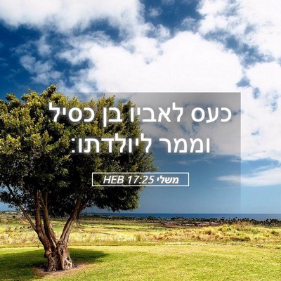 Picture 05 - משלי 17:25 HEB - כעס לאביו בן כסיל וממר - Bible Verse Picture