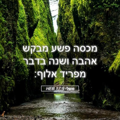 Picture 05 - משלי 17:9 HEB - מכסה פשע מבקש אהבה ושנה - Bible Verse Picture