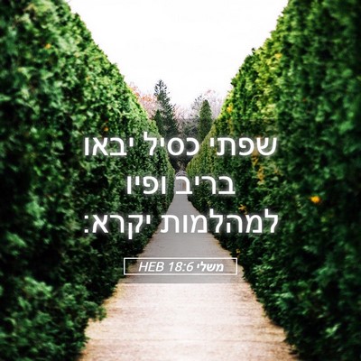 Picture 05 - משלי 18:6 HEB - שפתי כסיל יבאו בריב ופיו - Bible Verse Picture