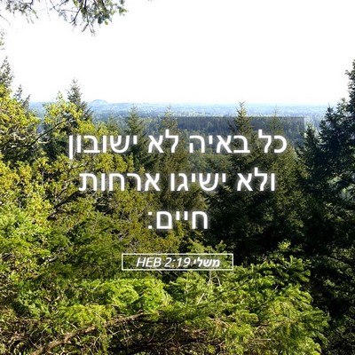 Picture 05 - משלי 2:19 HEB - כל באיה לא ישובון ולא ישיגו - Bible Verse Picture