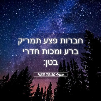 Picture 05 - משלי 20:30 HEB - חברות פצע תמריק ברע ומכות - Bible Verse Picture