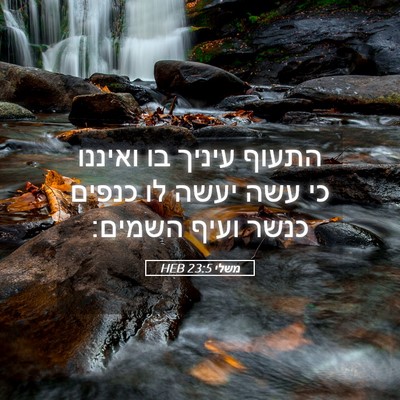 Picture 05 - משלי 23:5 HEB - התעוף עיניך בו ואיננו כי - Bible Verse Picture