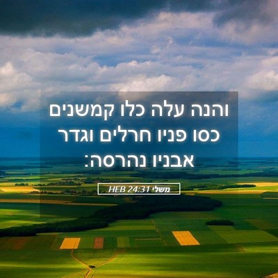 Picture 05 - משלי 24:31 HEB - והנה עלה כלו קמשנים כסו - Bible Verse Picture