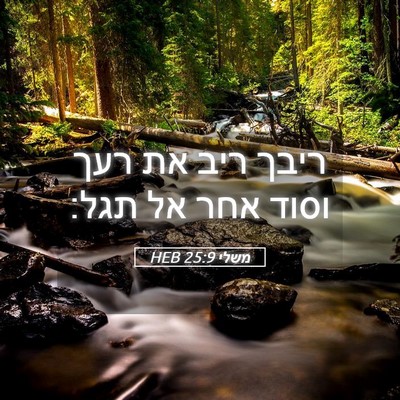 Picture 05 - משלי 25:9 HEB - ריבך ריב את רעך וסוד אחר אל - Bible Verse Picture