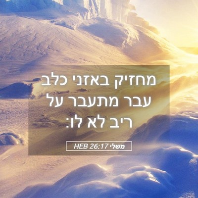 Picture 05 - משלי 26:17 HEB - מחזיק באזני כלב עבר מתעבר - Bible Verse Picture