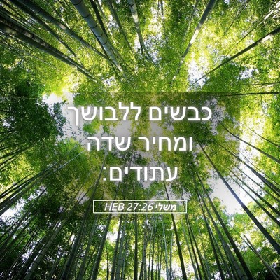 Picture 05 - משלי 27:26 HEB - כבשים ללבושך ומחיר שדה - Bible Verse Picture