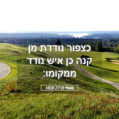 Picture 05 - משלי 27:8 HEB - כצפור נודדת מן קנה כן איש - Bible Verse Picture