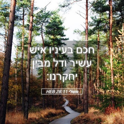 Picture 05 - משלי 28:11 HEB - חכם בעיניו איש עשיר ודל - Bible Verse Picture