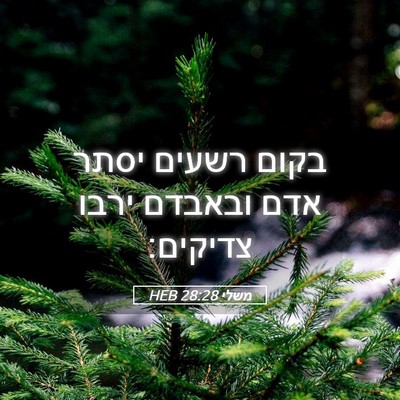 Picture 05 - משלי 28:28 HEB - בקום רשעים יסתר אדם ובאבדם - Bible Verse Picture