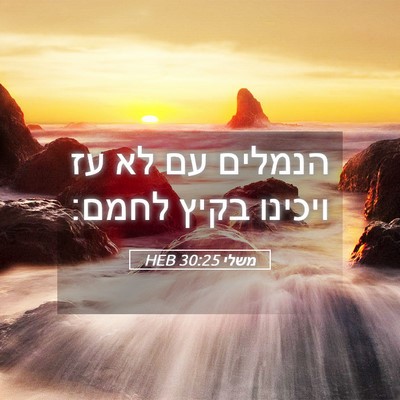 Picture 05 - משלי 30:25 HEB - הנמלים עם לא עז ויכינו בקיץ - Bible Verse Picture