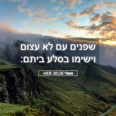 Picture 05 - משלי 30:26 HEB - שפנים עם לא עצום וישימו - Bible Verse Picture