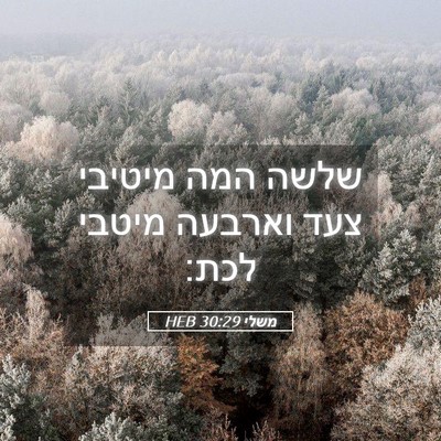 Picture 05 - משלי 30:29 HEB - שלשה המה מיטיבי צעד וארבעה - Bible Verse Picture