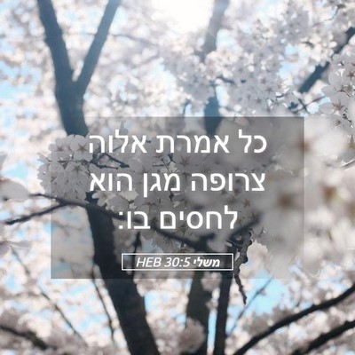 Picture 05 - משלי 30:5 HEB - כל אמרת אלוה צרופה מגן הוא - Bible Verse Picture