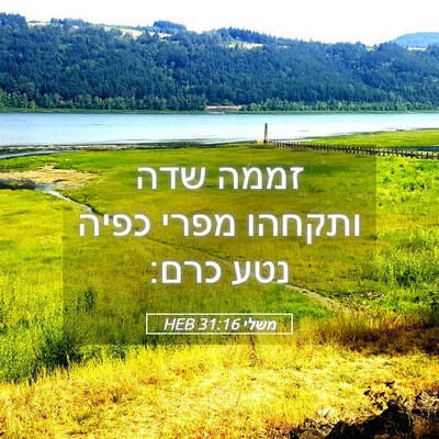 Picture 05 - משלי 31:16 HEB - זממה שדה ותקחהו מפרי כפיה - Bible Verse Picture