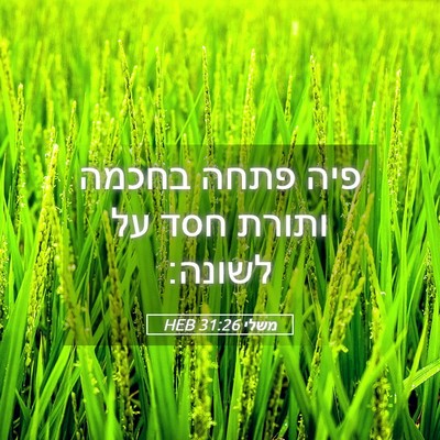 Picture 05 - משלי 31:26 HEB - פיה פתחה בחכמה ותורת חסד על - Bible Verse Picture