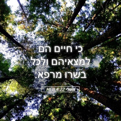 Picture 05 - משלי 4:22 HEB - כי חיים הם למצאיהם ולכל - Bible Verse Picture