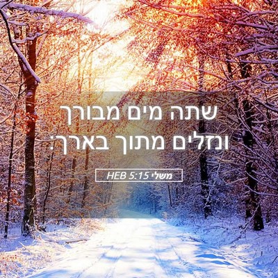 Picture 05 - משלי 5:15 HEB - שתה מים מבורך ונזלים מתוך - Bible Verse Picture