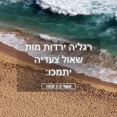 Picture 05 - משלי 5:5 HEB - רגליה ירדות מות שאול צעדיה - Bible Verse Picture