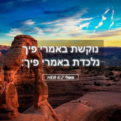 Picture 05 - משלי 6:2 HEB - נוקשת באמרי פיך נלכדת - Bible Verse Picture