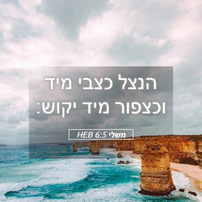 Picture 05 - משלי 6:5 HEB - הנצל כצבי מיד וכצפור מיד - Bible Verse Picture
